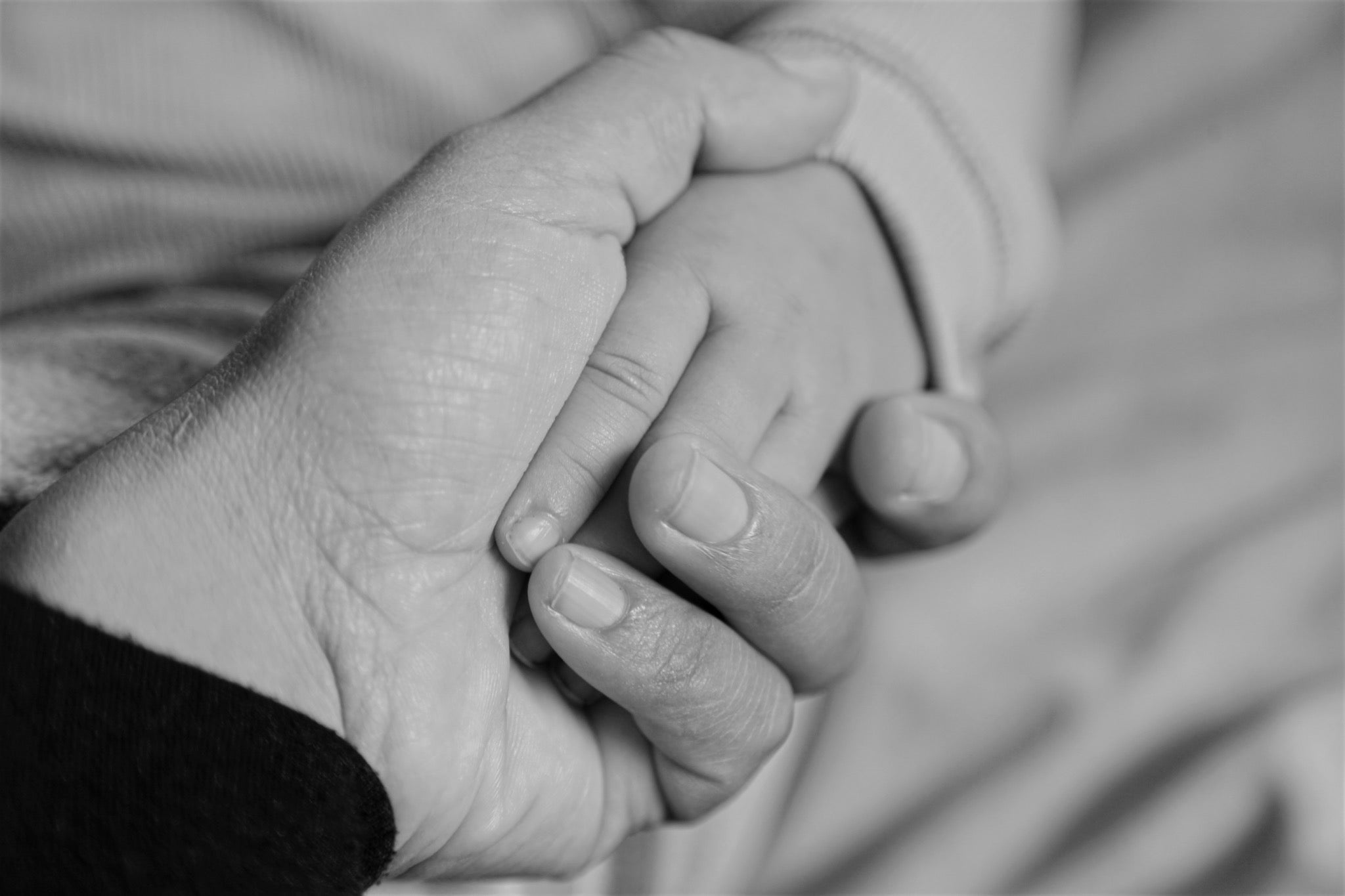 Closeup of a small child's hand held in a slightly larger adult one in black and white