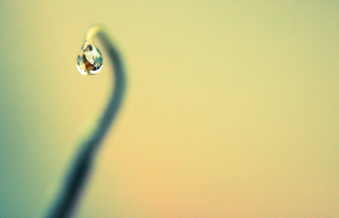 Adding to my collection 🖼️