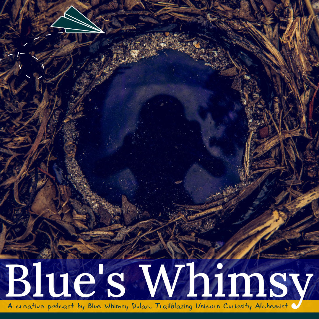 Blue's Whimsy intro ✨