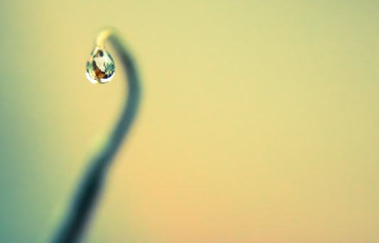 Raindrop hanging on stem against a yellow and green cross processed background