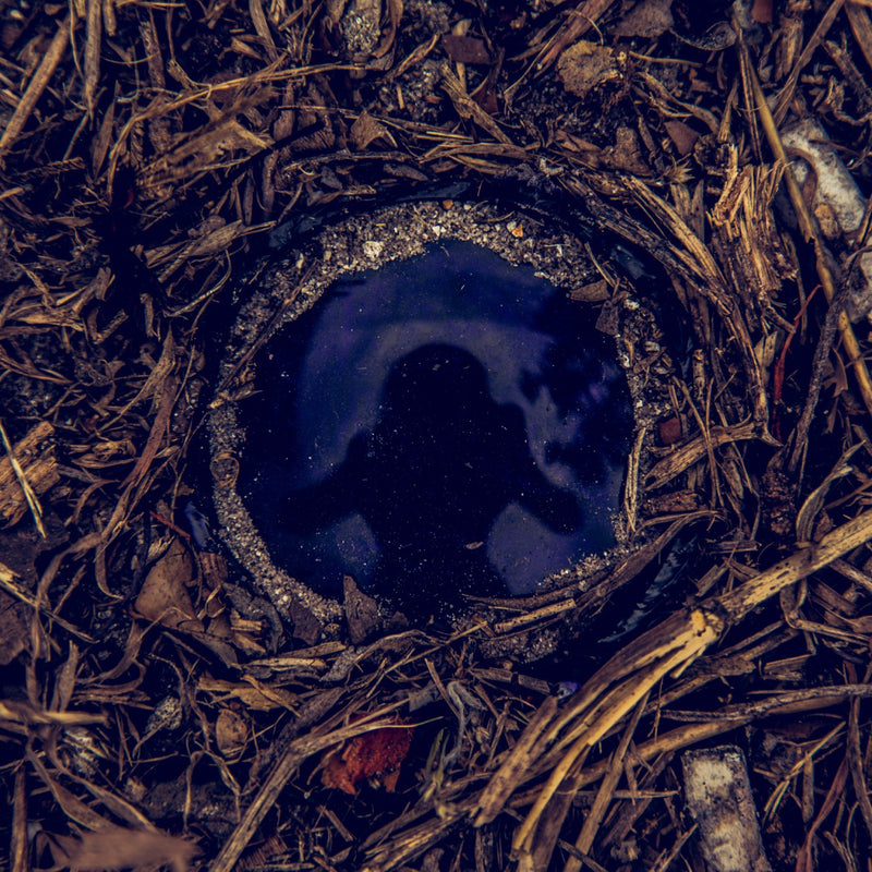 Closeup of a waist up human reflection of the photographer in a dark blue glass bottle bottom surrounded by sand, bark, and twigs