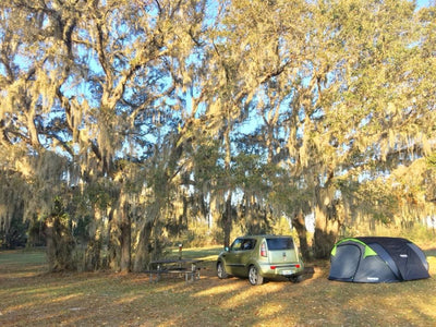 Camping scene beneath a large tree with Spanish moss at Lake Panasoffkee Wildlife Management Area in Florida with a picnic table, alien green Kia Soul, and green and black tent