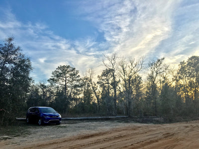 Minimally cloudy blue sky sunset on an Apalachicola National Forest fire road in Florida with a blue Chrysler Pacifica minivan nestled among the trees