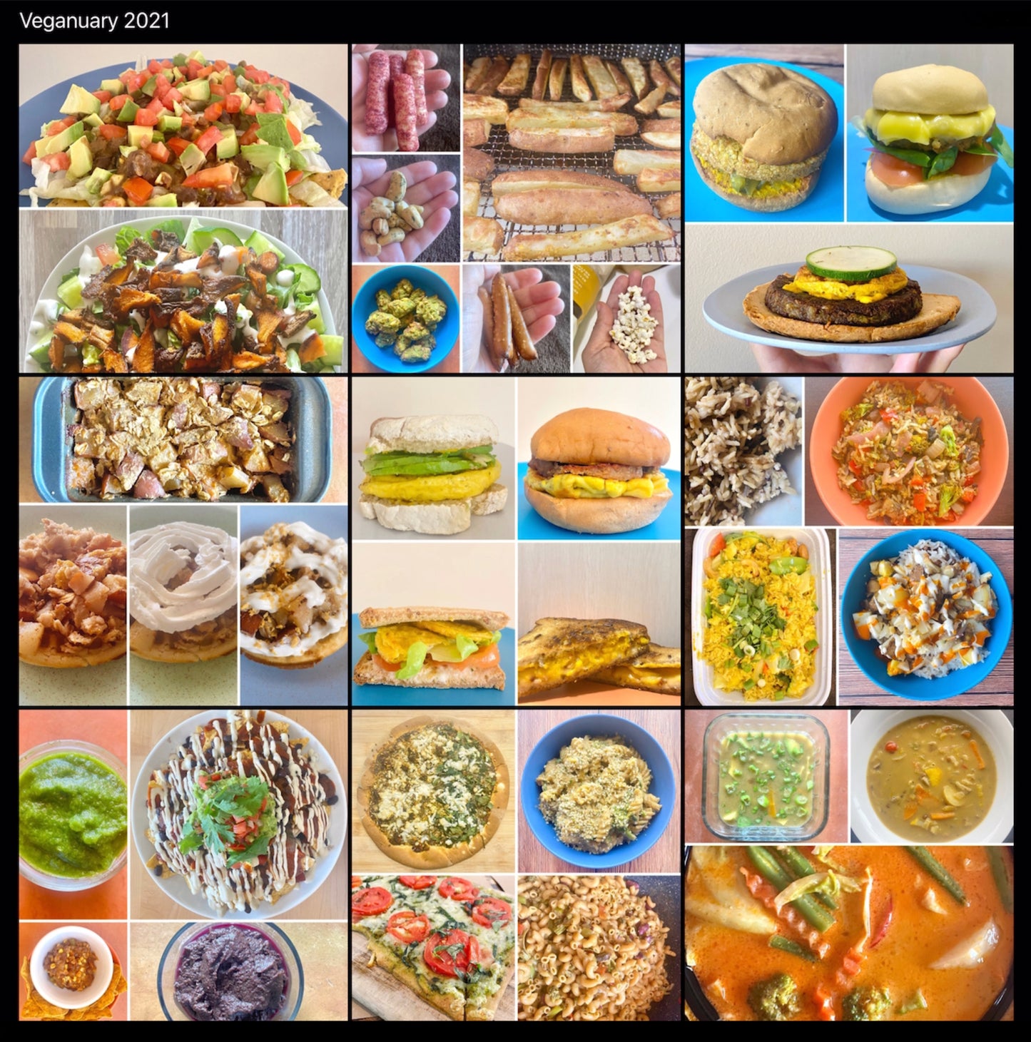 Grid of images showcasing various vegan foods and meals, both prepared at home and restaurant dishes