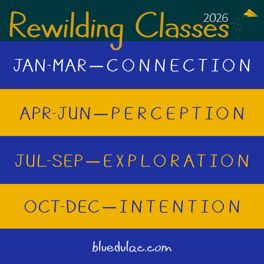 2026 Rewilding Class Stack Year