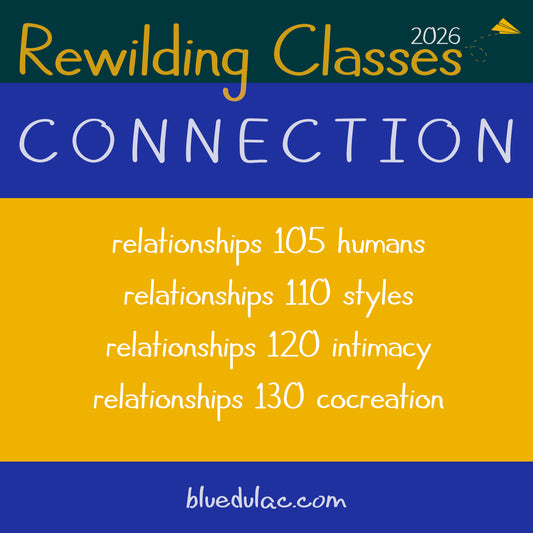 🧑‍🏫 Rewilding CONNECTION relationship