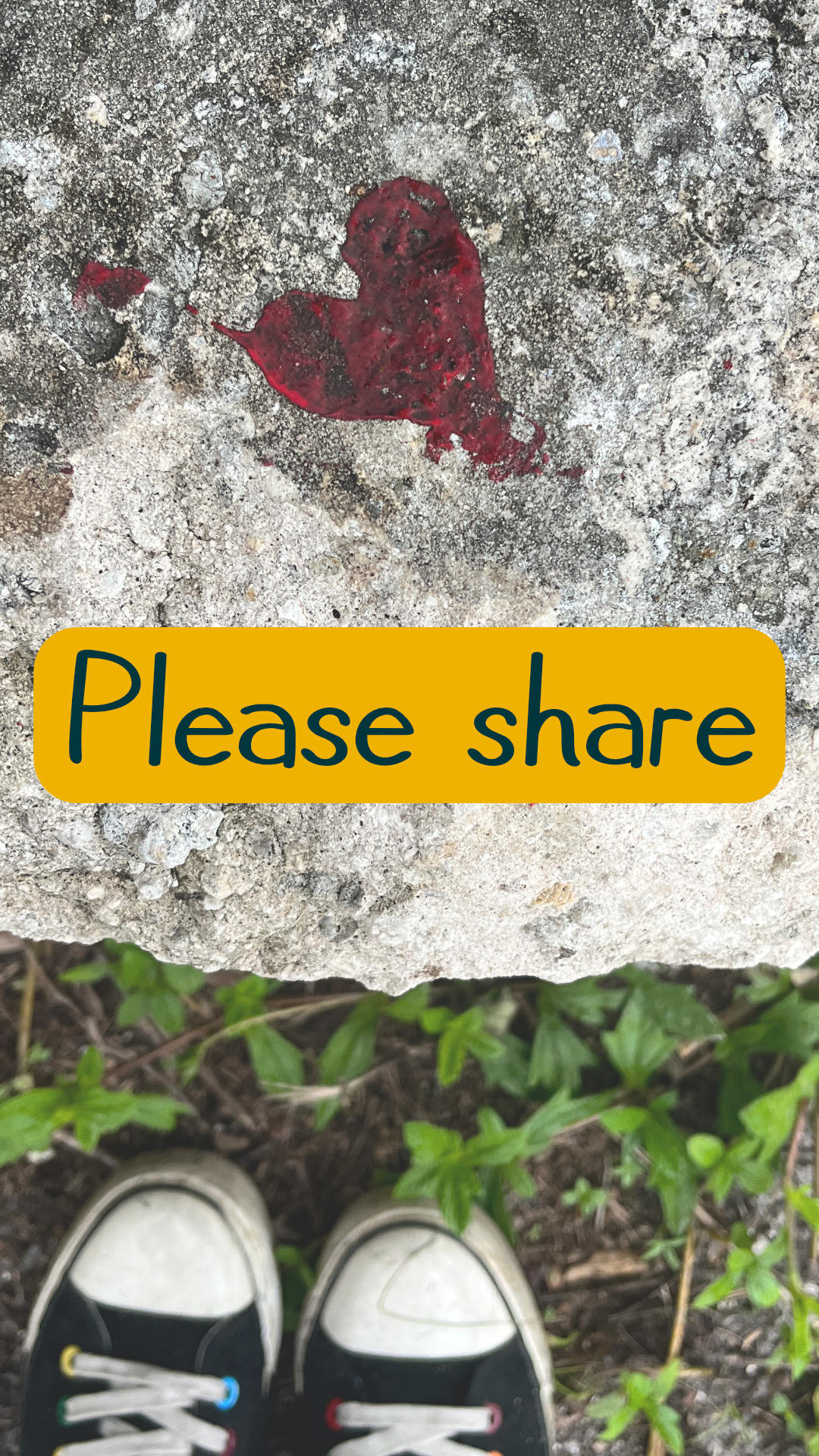 Red heart painted on a rock above the toes of black sneakers that have colored eyelets with green 'Please share' text overlay on a yellow background