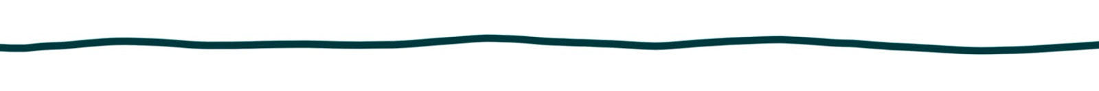 Hand drawn thin dark green line divider